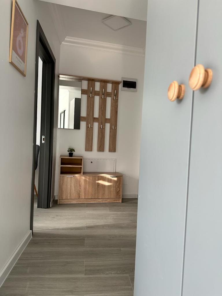 Cozy Studios In Suceava Eksteriør billede