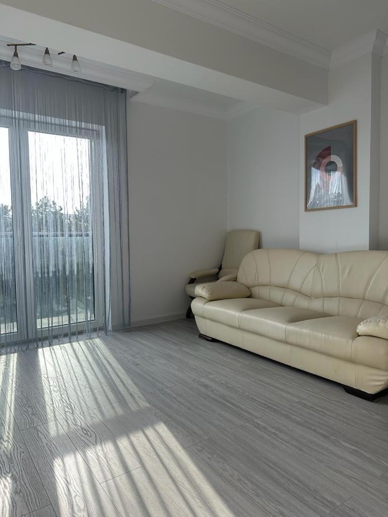 Cozy Studios In Suceava Eksteriør billede