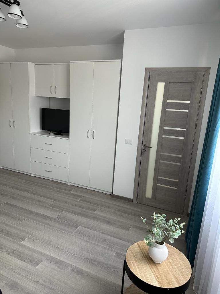 Cozy Studios In Suceava Eksteriør billede