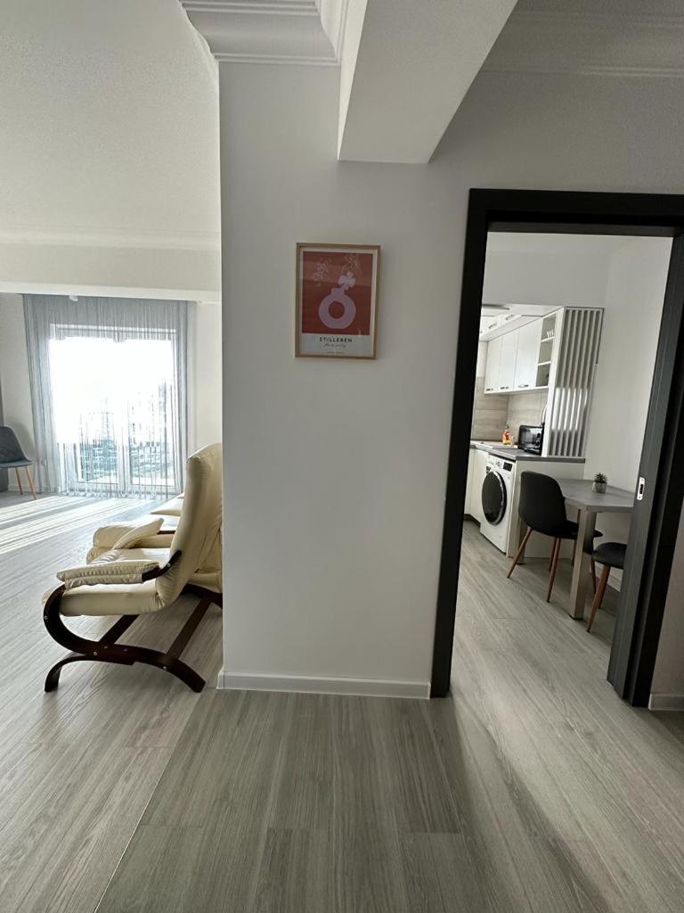 Cozy Studios In Suceava Eksteriør billede