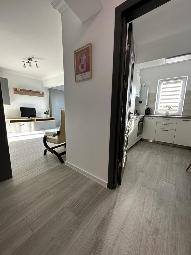 Cozy Studios In Suceava Eksteriør billede